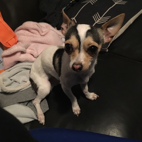 Meet your Posher, Angie - Picture 1 of 1